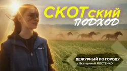 Cattle-like Negligence | DPG. Weekly