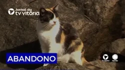 PEDRA DA CEBOLA PARK ANIMALS