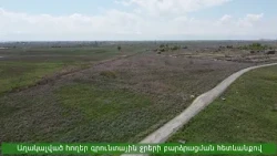 Աղակալված հողեր