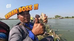 MANCING MBOIS! KESERUAN ANNIVERSARY MMTA – FULL BABON NILA! 🐟🔥