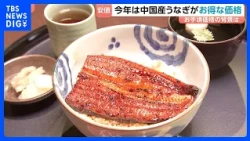 [Midsummer Day of the Ox] Chinese Eel Prices Drop This Year: The Story Behind the Overfishing and...