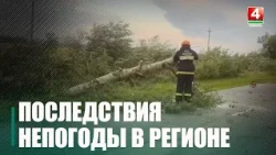 Вода в доме и поваленные деревья: как Гомель пережил сильный ливень