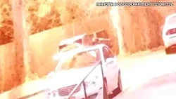 Caught on cam: Lightning strikes woman | Heat & power grid woes | Invasive mussels - The Forecasters