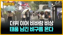 더위 이어 비바람 비상…태풍 남긴 비구름 온다  [세상만사] #날씨 #비바람 #비구름 #기상청