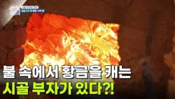 [시골, 부자의 탄생] 불 속에서 황금을 캐는 시골 부자가 있다?! [생방송 굿모닝 대한민국] | KBS 260902 방송