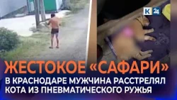 Neighbors speak out about man who shot cat with air gun in Krasnodar