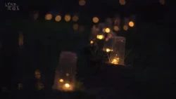 ～青田にともす～