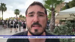 RIFLETTORI ANIMALISTI SU SCIACCA, TERMINE, DENUNCEREMO CHI DIFFAMA LA NOSTRA CITTÀ