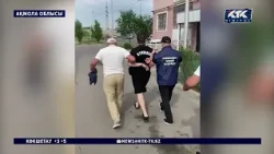 77 ЖЫЛҚЫНЫ КӨЛІКПЕН АЙДАП ӘКЕТКЕН: Ақмола облысындағы ірі мал ұрлығы