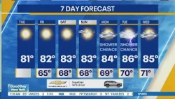 NYC Weather Forecast