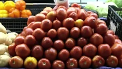Onion, potato, and avocado prices increased this week