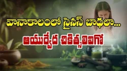 వానాకాలంలో సైనస్ బాధలా... ఆయుర్వేద చికిత్సలివిగో | Sukhibhava | ETV Life