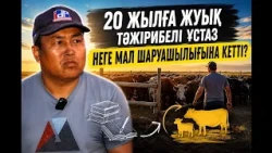 “20 жылға жуық тәжірибелі ұстаз неге мал шаруашылығына кетті” / “Жұмысым - осындай!” / 11.08.2026