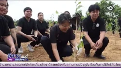 Planting 4,000 Trees in Honor of the King | Esan Today July 23