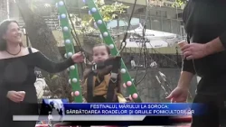 Apple Festival in Soroca: A Celebration of Harvest and the Growers' Toil