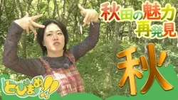 とびまめっ!!　秋の景色を堪能！秋田の魅力を再発見ツアー2　2026年10月16日放送分