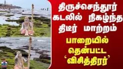 Tiruchendur Temple| திருச்செந்தூர் கடலில் நிகழ்ந்த திடீர் மாற்றம் - பாறையில் தென்பட்ட `விசித்திரர்’