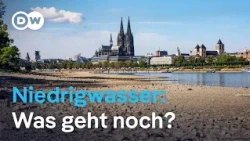 Das Niedrigwasser bringt die deutsche Wirtschaft ins Wanken