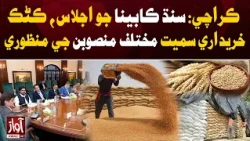 Sindh Cabinet Approves Wheat Procurement, Development Plans | Awaz TV News