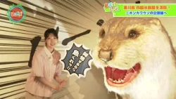 [Yu-Bara!] Summer Vacation Trip! Off to Shikoku Aquarium in Kagawa! [Special Exhibit: "Japanese O...