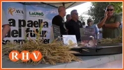 AVA-ASAJA i La Unió alerten del risc per al futur de l’arròs valencià