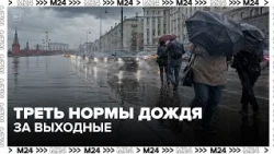 Треть месячной нормы дождя за выходные: Москву ждёт резкое похолодание
