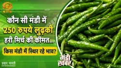 Mandi Khabar |मंडी खबर-कौन सी मंडी में 250 रूपये लुढ़की हरी मिर्च की कीमत किस मंडी में स्थिर रहे भाव?