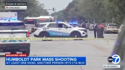 UPDATE: 7 people shot, 1 fatally, near Humboldt Park alley; injured woman crashes into CTA bus