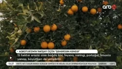 Cənub bölgəsində aqroturizmin inkişafı üçün 9 fermerə dəstək göstərilib