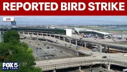Flight aborts takeoff at LGA after reported bird strike, FAA says