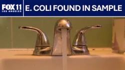 E. coli found in Koreatown water sample