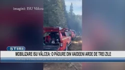 ISU VÂLCEA MOBILIZATION: A FOREST IN VAIDEENI HAS BEEN BURNING FOR THREE DAYS
