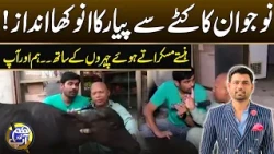 Young Man's Unique Way of Making Love to A Cow | Hum or Ap | 11 AUG 2026 | City 41