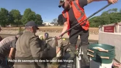 Fish rescue mission