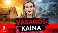 Lietuviška vasara apgavo: karščio rekordai, liūtys ir milijoninės žalos