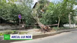 Potopul care s-a abătut peste București n-a ocolit nici stadioanele