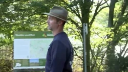 WATCH: 350 sheep trek straight through our region: "Shepherds care for our environment"