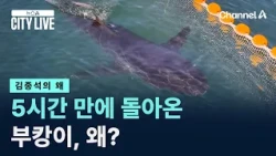 [Kim Jong-seok's WHY] Why did Buk-ang-i return after just 5 hours? / Channel A / News A CITY LIVE