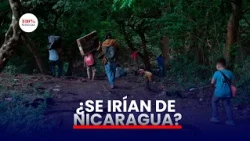 El 55,3 % de los consultados se iría de Nicaragua: economía y desempleo entre las razones