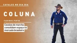 "Horses in the Daily Routine": gaited horses solidify their place in the Brazilian market