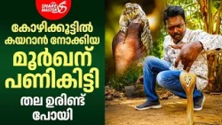 കോഴിയെ പിടിക്കാൻ പോയി പണി കിട്ടി | Snake Rescue From Net | Snakemaster EP 1212