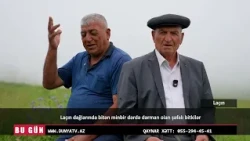 Laçın dağlarında bitən minbir dərdə dərman olan şəfalı bitkilər