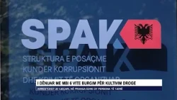 I dënuar me mbi 6 vite burgim për kultivim droge