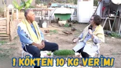 1 Kökten 10 KG Verim!