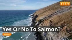 External Experts Visit Falklands To Discuss Salmon Farming