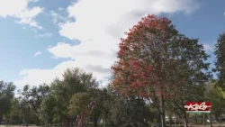 Fall has shown nearly every side in KELOLAND