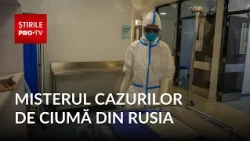 The Mystery of the Plague Cases in Russia