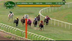 Hipódromo Monterrico - 4ta Carrera  31 Agosto 26