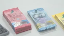 Taxpayer Assets Could Be Liable for Tax Debts