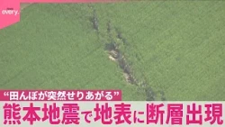 【熊本地震】“田んぼが突然せりあがる”地表に断層出現  防犯カメラが瞬間とらえる